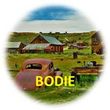 Bodie
